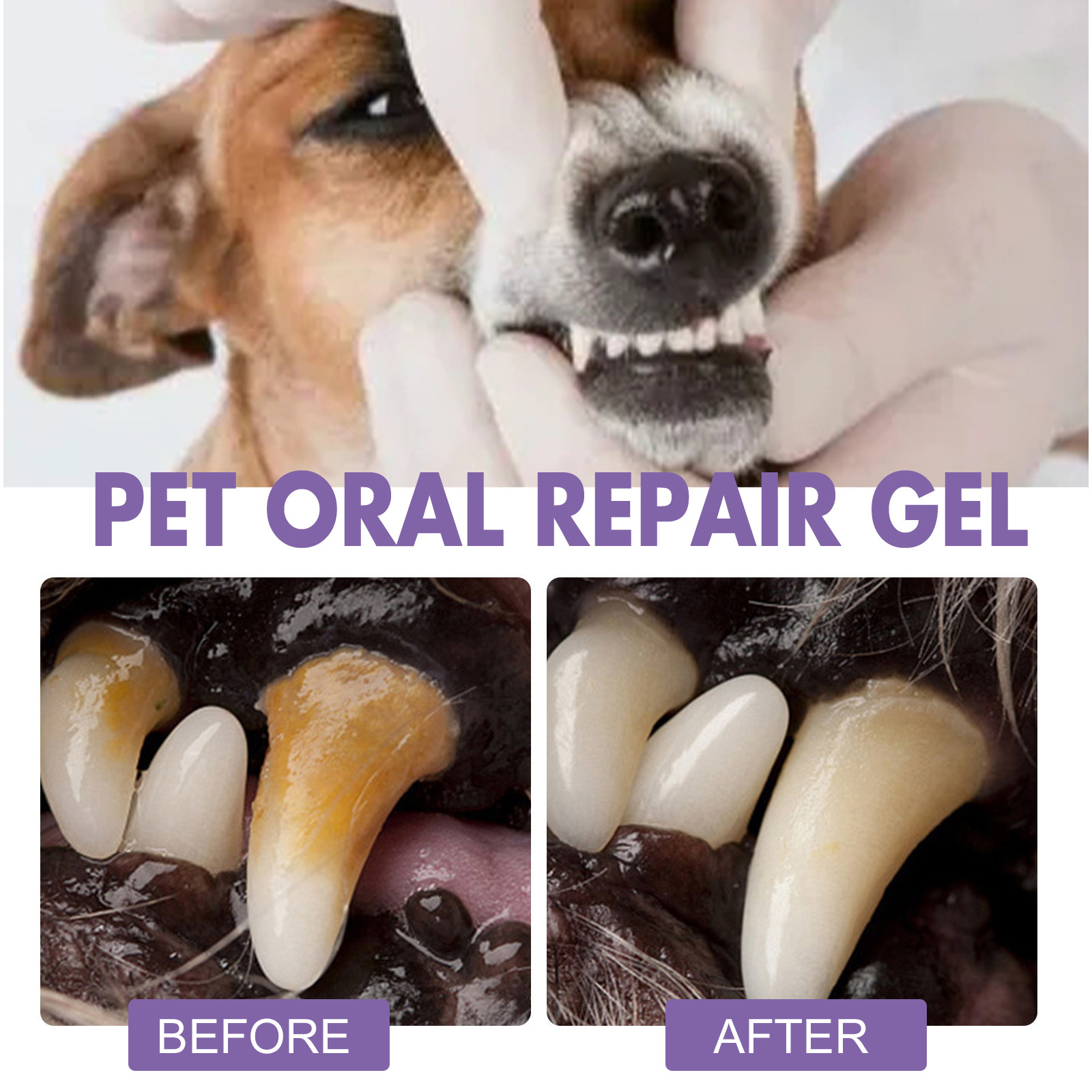Pet Oral Onarım Jeli Yavru Tar - Teeth Whitening Q&M incelemesi ve fiyatı