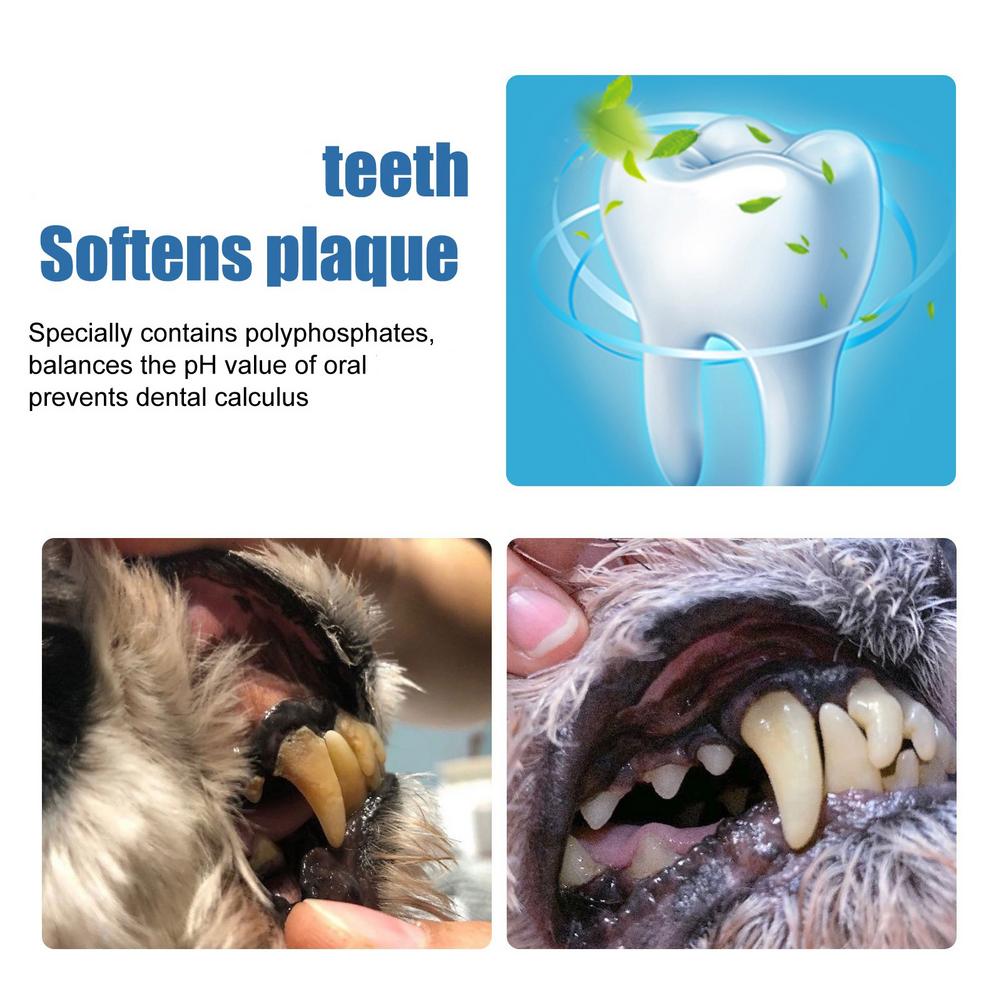 Evcil Hayvan Tartar Sökücü Köp - Teeth Whitening Effective incelemesi ve fiyatı